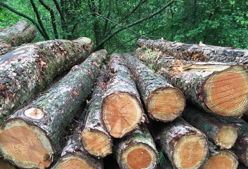 Bed and Breakfast T Huis Ten Boss 3