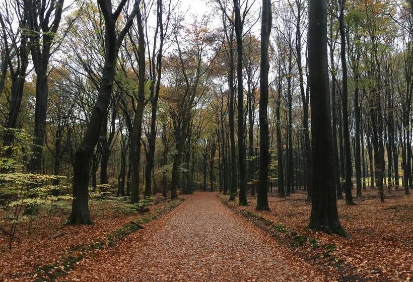 Bed and Breakfast T Huis Ten Boss 4