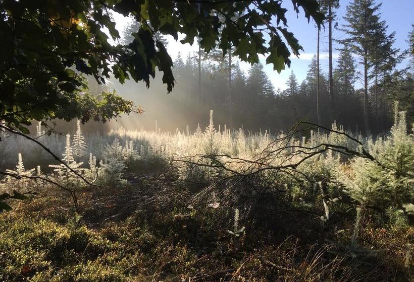 Bed and Breakfast T Huis Ten Boss 7