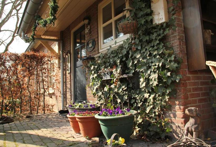 Bed And Breakfast Green Cottage 10