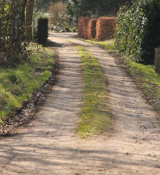 Bed And Breakfast Green Cottage 18