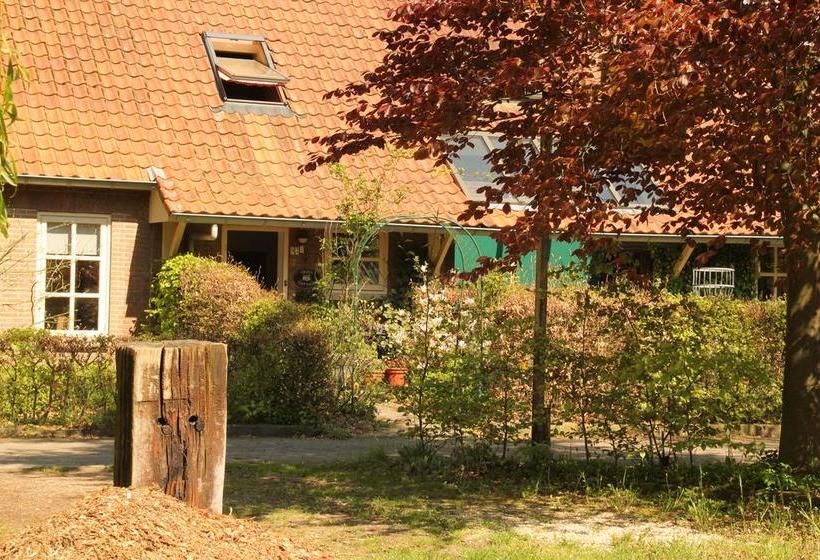 Bed And Breakfast Green Cottage 2