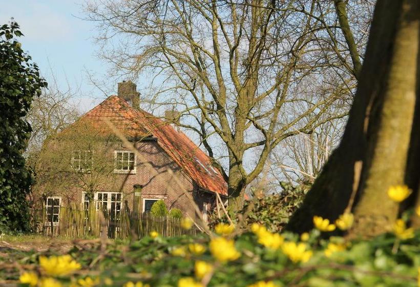 Bed And Breakfast Green Cottage 5