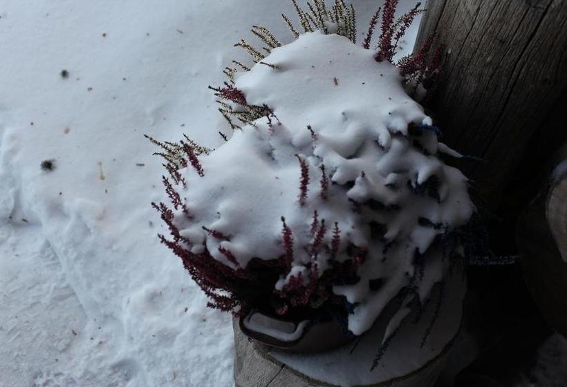 Bed & Breakfast Neljän Tuulen Tupa 8