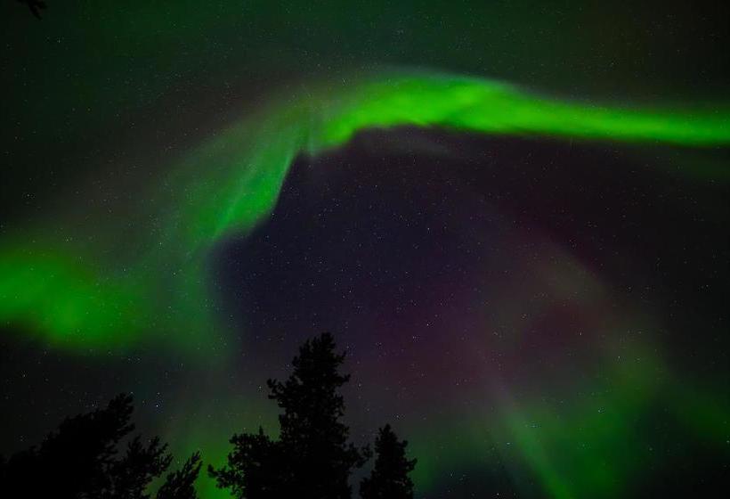 Hotel Muotka Igloos 10