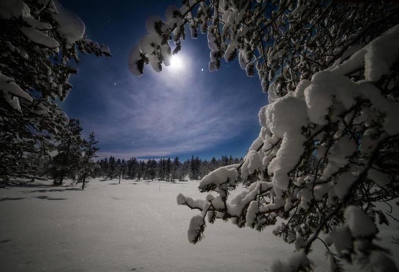 Hotel Muotka Igloos 11