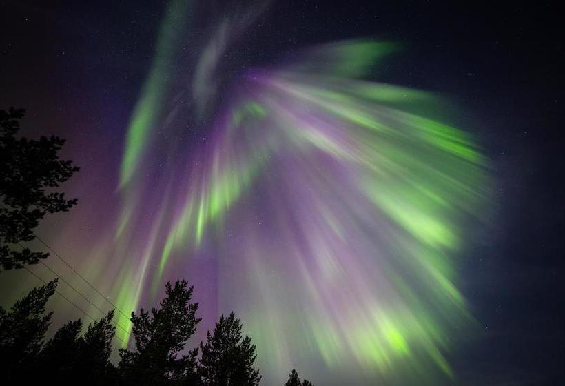 Hotel Muotka Igloos 12