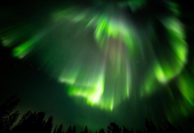 Hotel Muotka Igloos 13