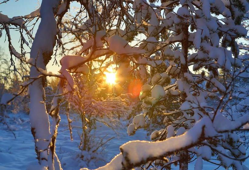 Hotel Muotka Igloos 15