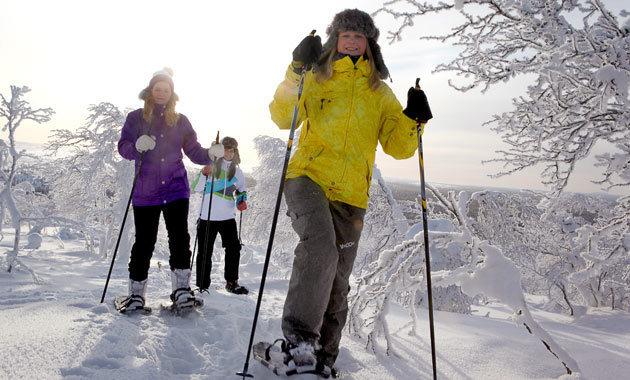 Hotel Muotka Igloos 19