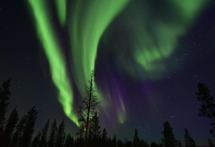 Hotel Muotka Igloos 7