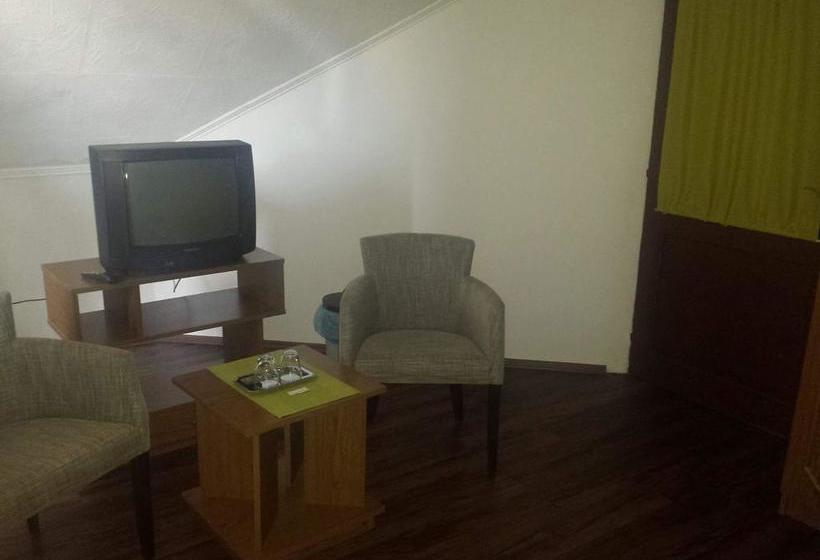 Bed & Breakfast Teke Panzió 1