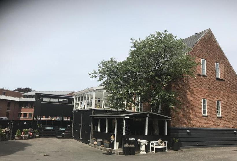 Bed and Breakfast Bed&Breakfast Huset 10