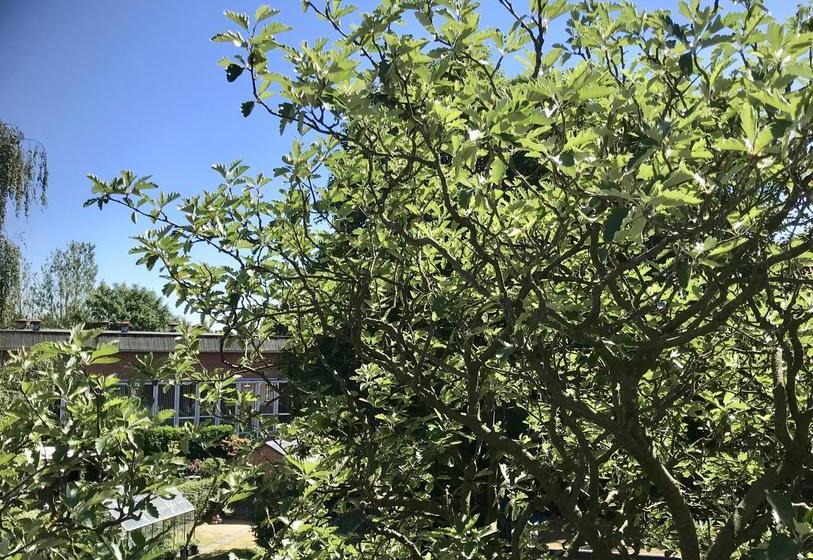 Bed and Breakfast Bed&Breakfast Huset 8