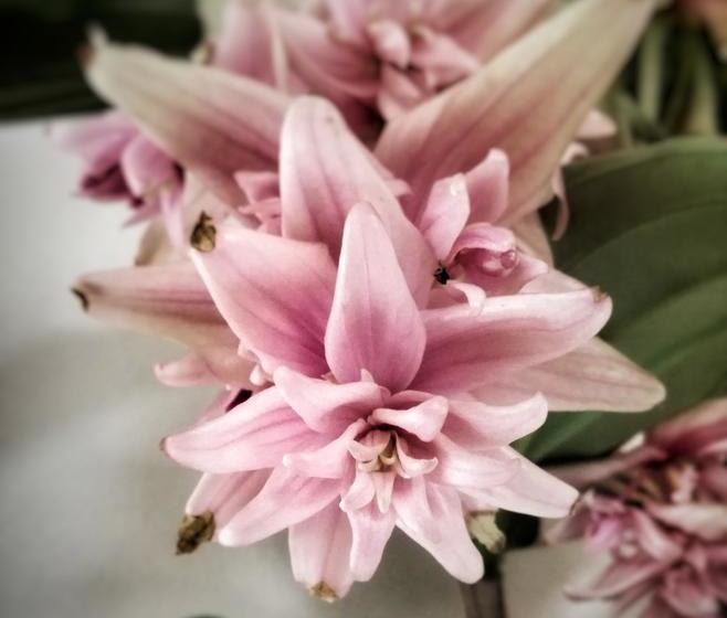 Færgelundens Motel & Kursuscenter 15