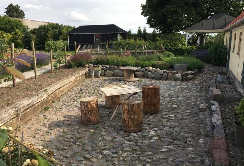 Bed and Breakfast Bed&Breakfast Birkende