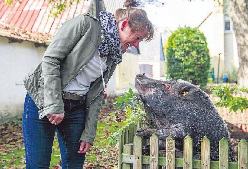 Bed & Breakfast Bed&Breakfast Debbie's