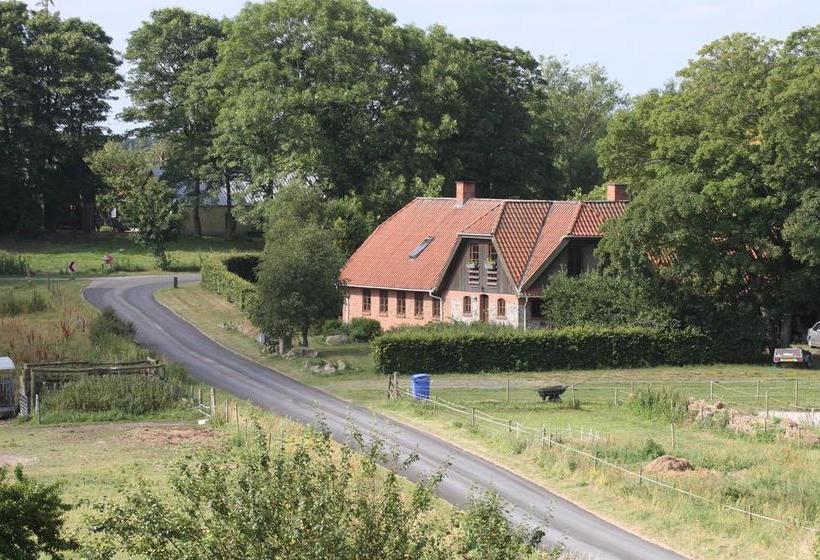 Bed and Breakfast Bed&Breakfast Lundshøjgaard