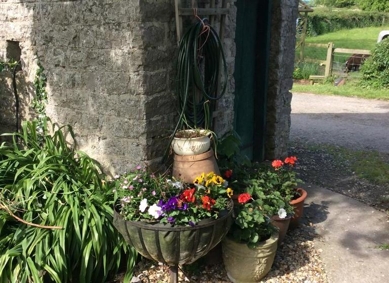 Bed and Breakfast Poplar Farm 1