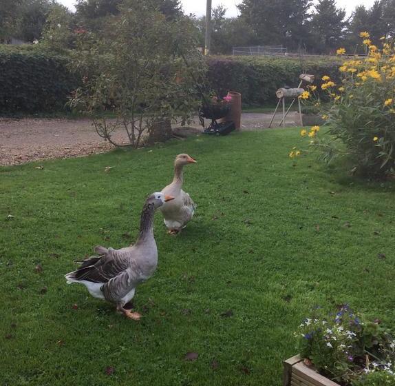 Bed and Breakfast Poplar Farm 10