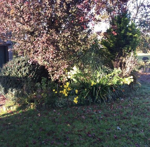 Bed and Breakfast Poplar Farm 8