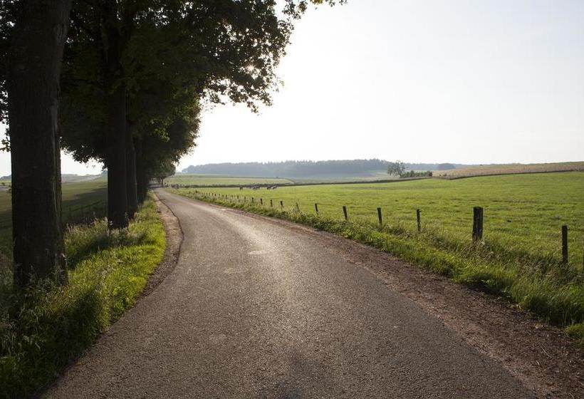 Bed & Breakfast Seven Hills 11