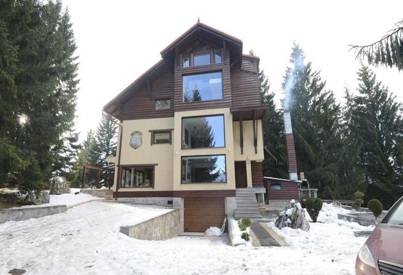 Bed and Breakfast Pensiunea Mountain Retreat