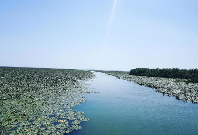 Bed and Breakfast Pensiunea Sanmar