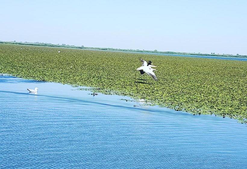 Bed and Breakfast Pensiunea Sanmar 1