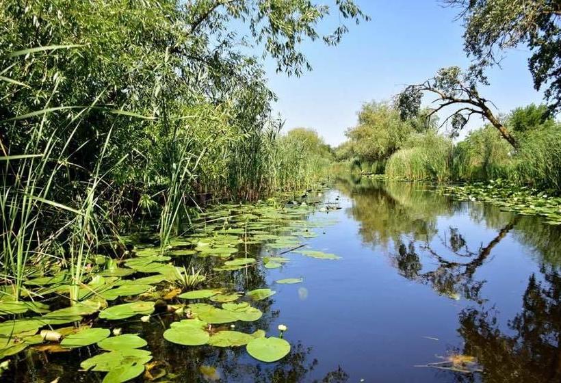 Bed and Breakfast Pensiunea Sanmar 10