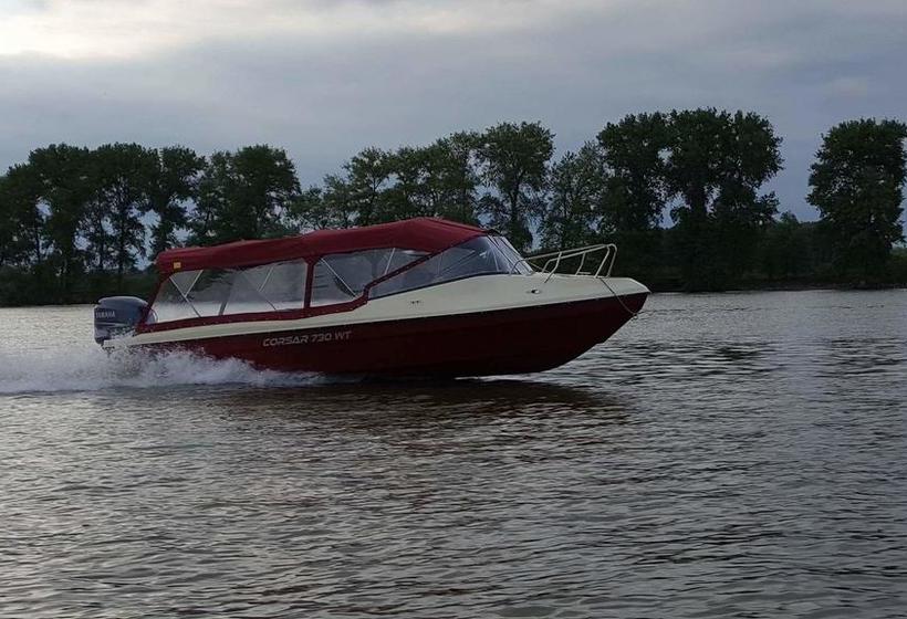 Bed and Breakfast Pensiunea Sanmar 13