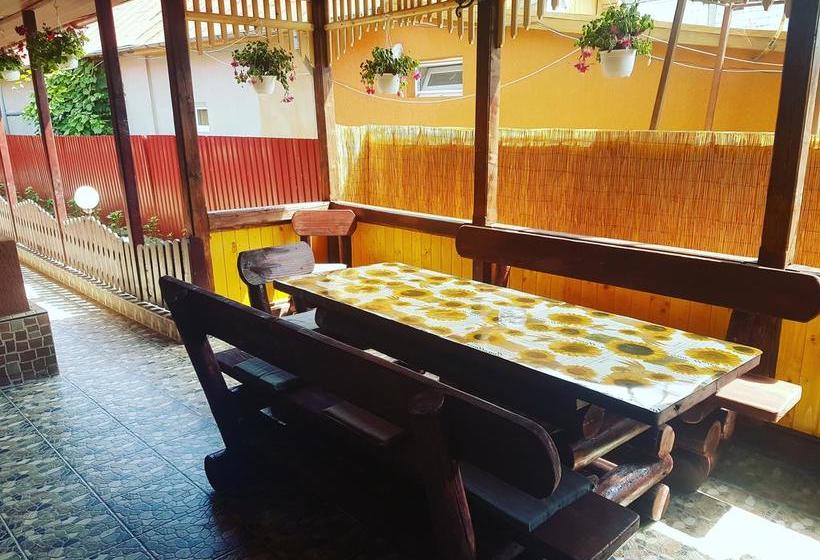 Bed and Breakfast Pensiunea Sanmar 14