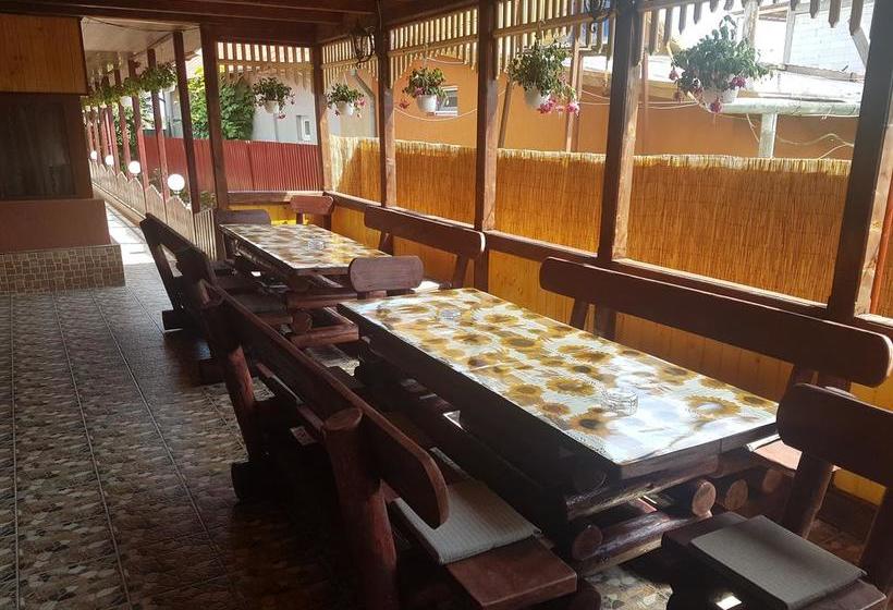 Bed and Breakfast Pensiunea Sanmar 15