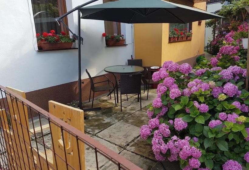 Bed & Breakfast Cas Central In Brasov 1