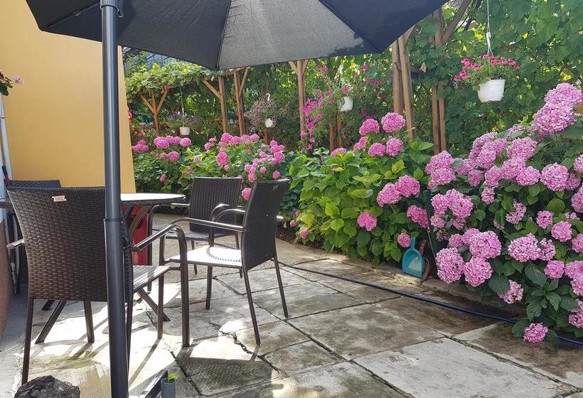 Bed & Breakfast Cas Central In Brasov 2