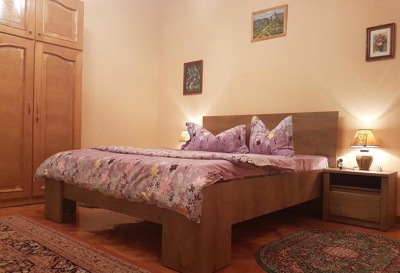 Bed & Breakfast Cas Central In Brasov 4
