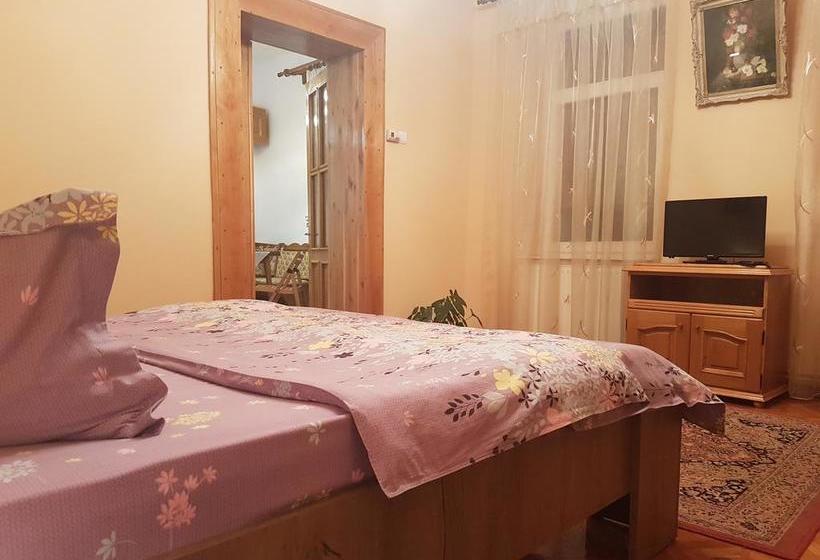 Bed & Breakfast Cas Central In Brasov 6