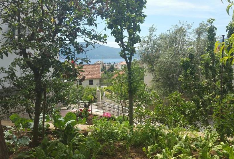 Bed & Breakfast Tivat Apartments 1