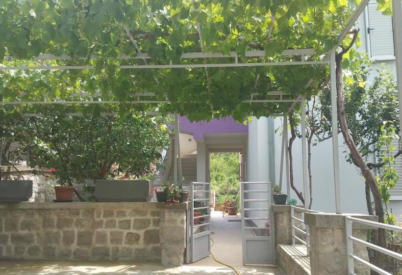 Bed & Breakfast Tivat Apartments 2