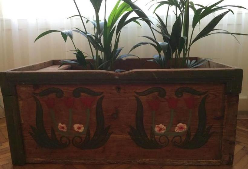 Bed and Breakfast Tulipán Szálló 16