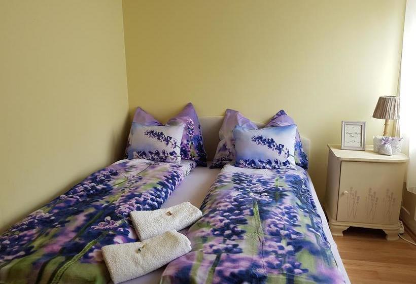 Bed and Breakfast Tulipán Szálló 19