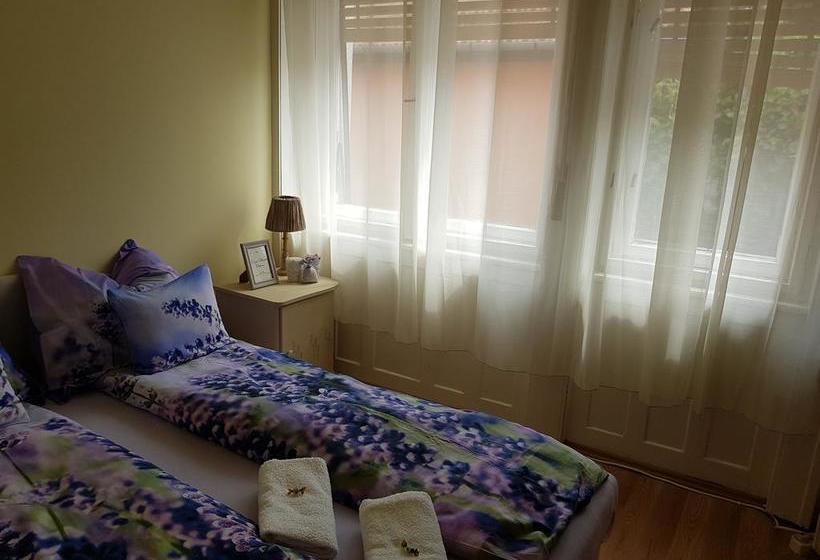 Bed and Breakfast Tulipán Szálló 20