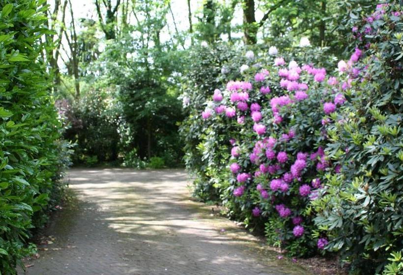 Bed and Breakfast De Bostuin Veluwe 12