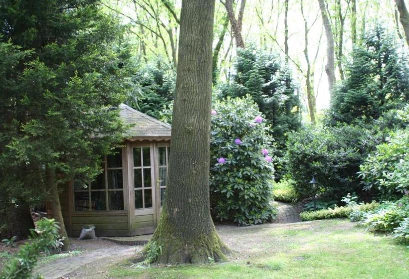 Bed and Breakfast De Bostuin Veluwe 13