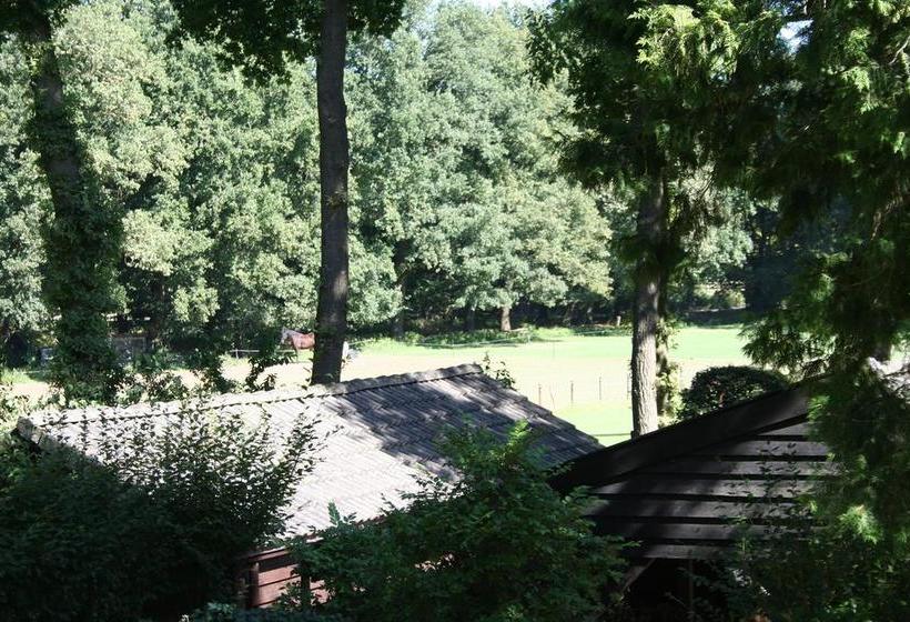 Bed and Breakfast De Bostuin Veluwe 17