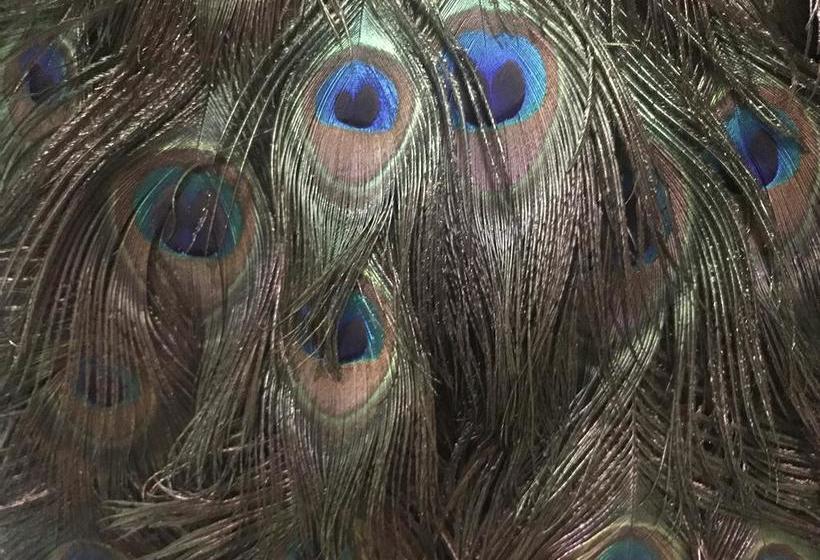 Bed and Breakfast Arthur And James 17