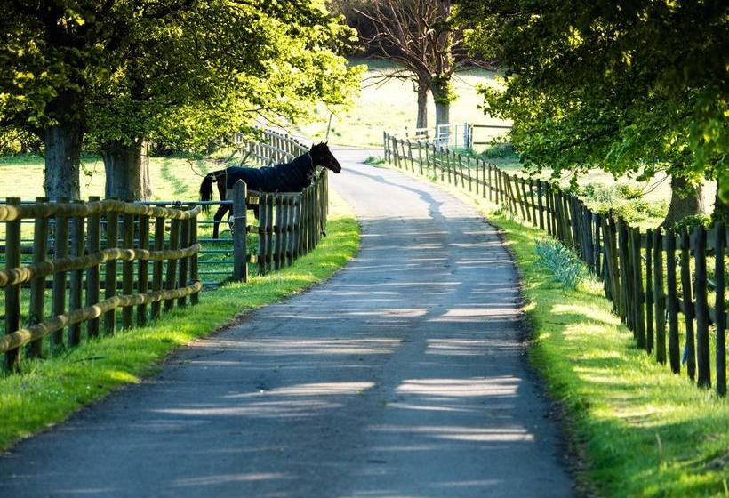 Bowers Hill Farm B&b