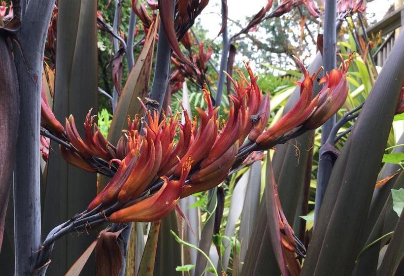 Toppesfield House B&b 4