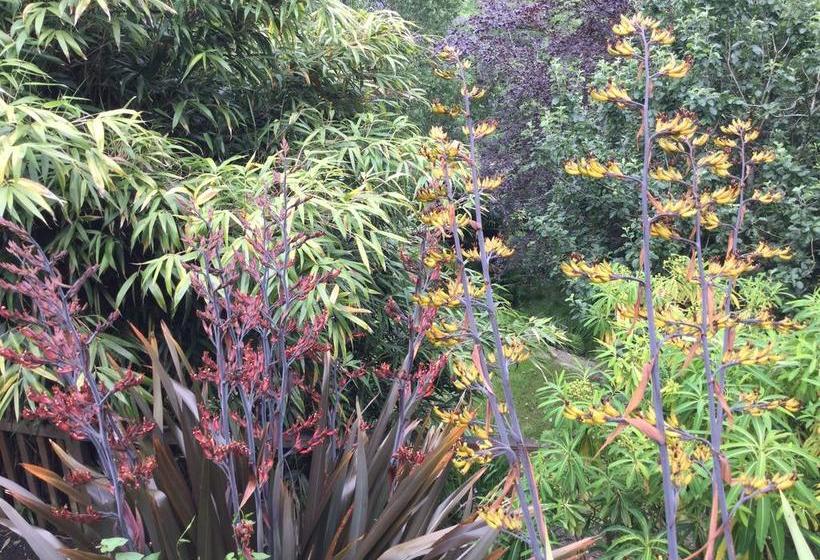 Toppesfield House B&b 5