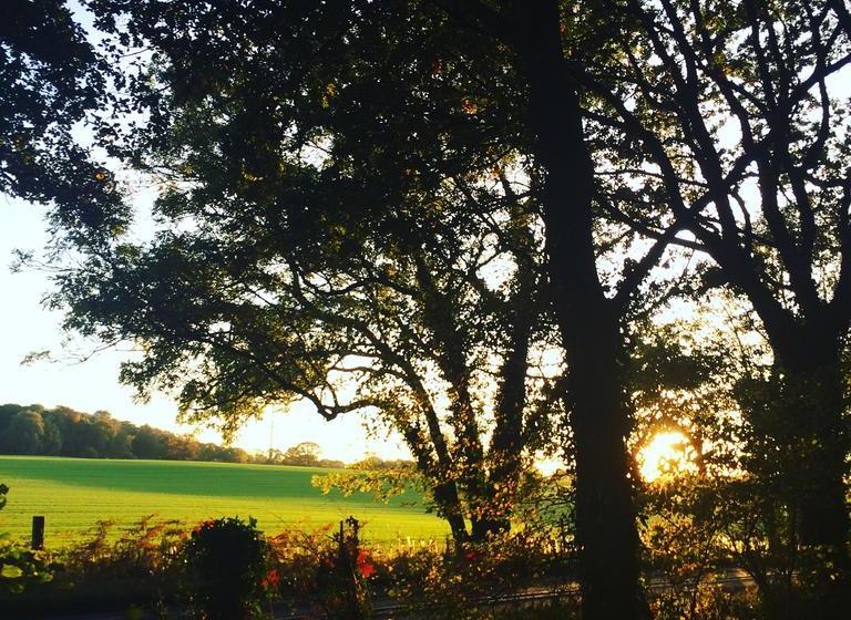 Bed and Breakfast Thaw 8